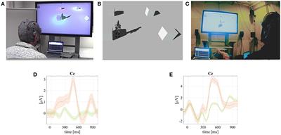 Robotic and Virtual Reality BCIs Using Spatial Tactile and Auditory Oddball Paradigms